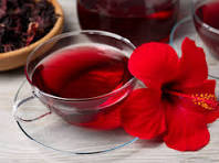 Hibiscus