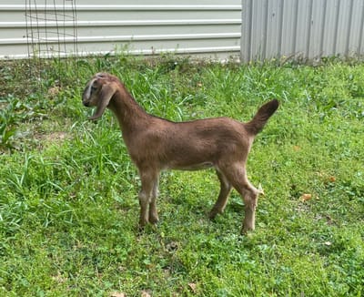 New Season, Same Faithful God