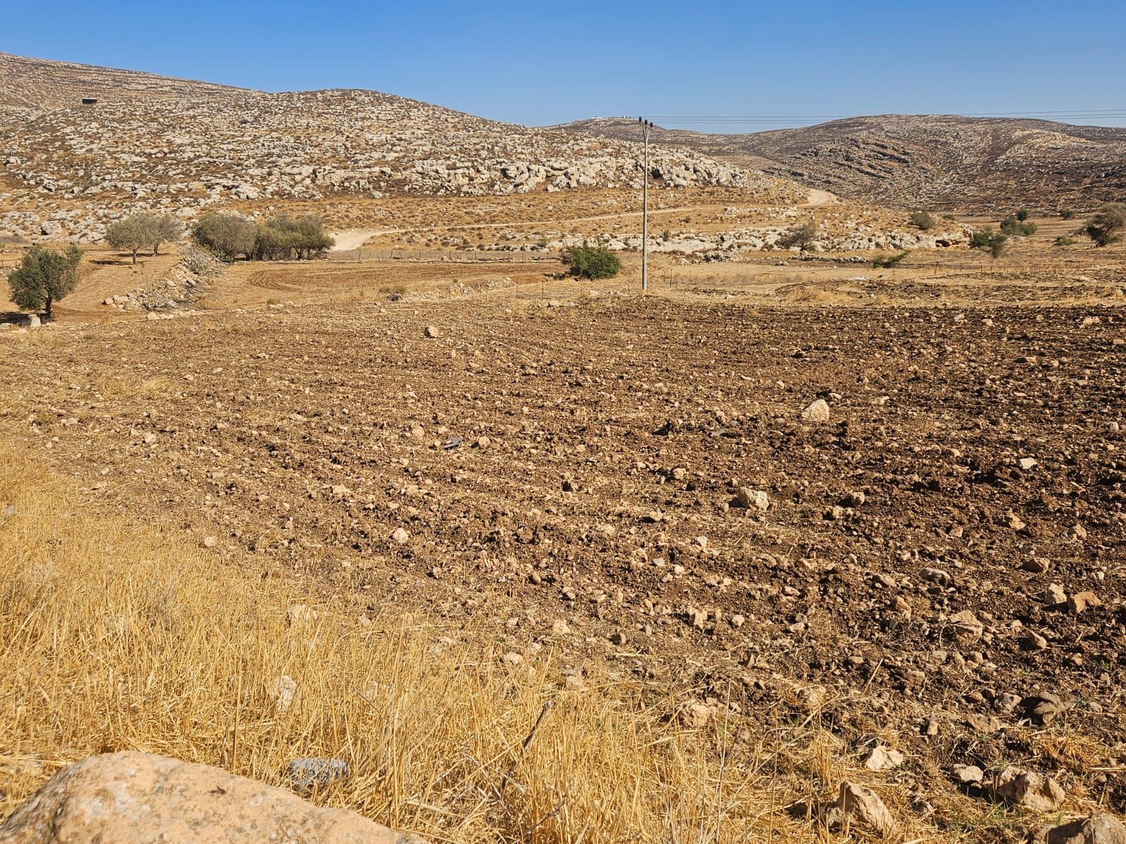 Parcels of fertile land in the Binyamin region