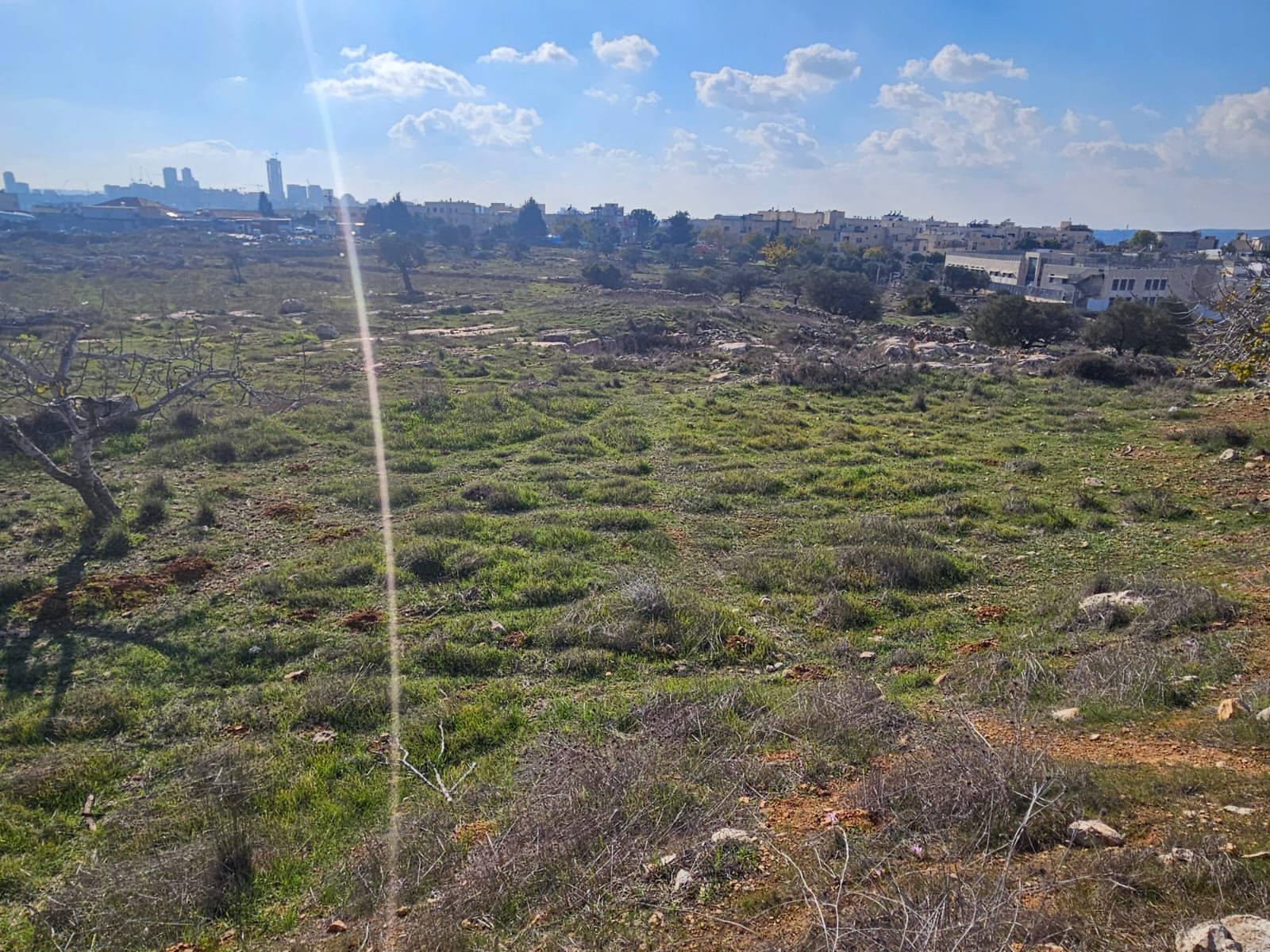 Lot for commercial building in North Jerusalem
