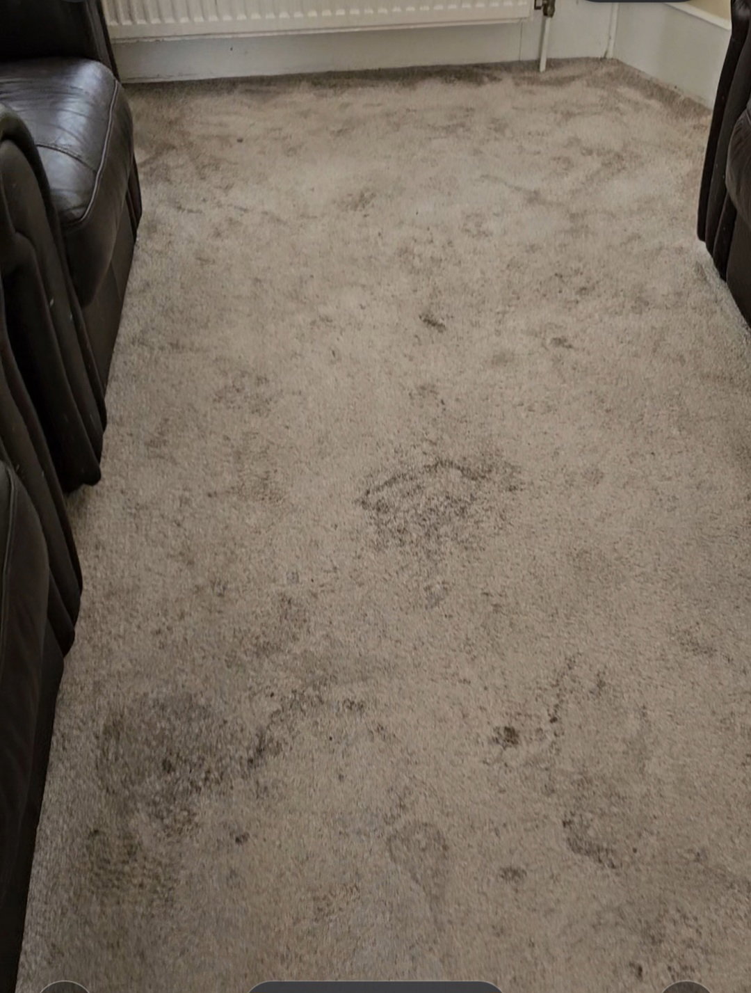 Before the clean
