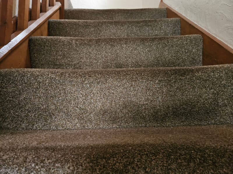 CARPET & UPHOLSTERY CLEANING