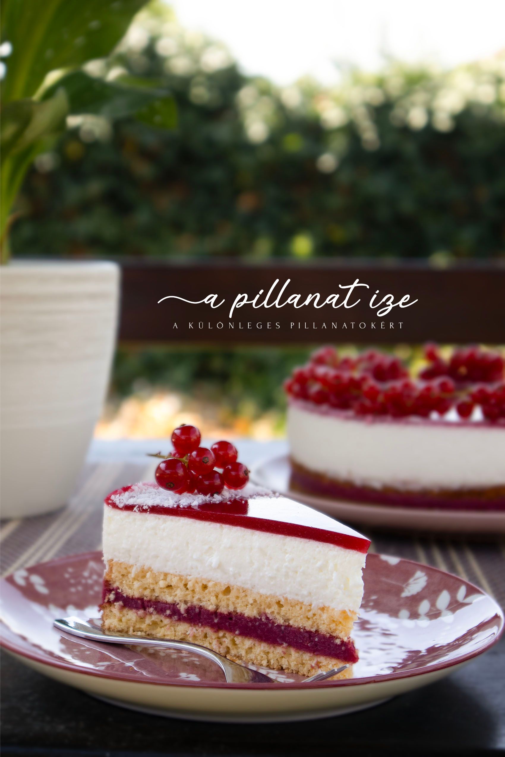Hibiszkuszos ribizlis joghurt torta recept