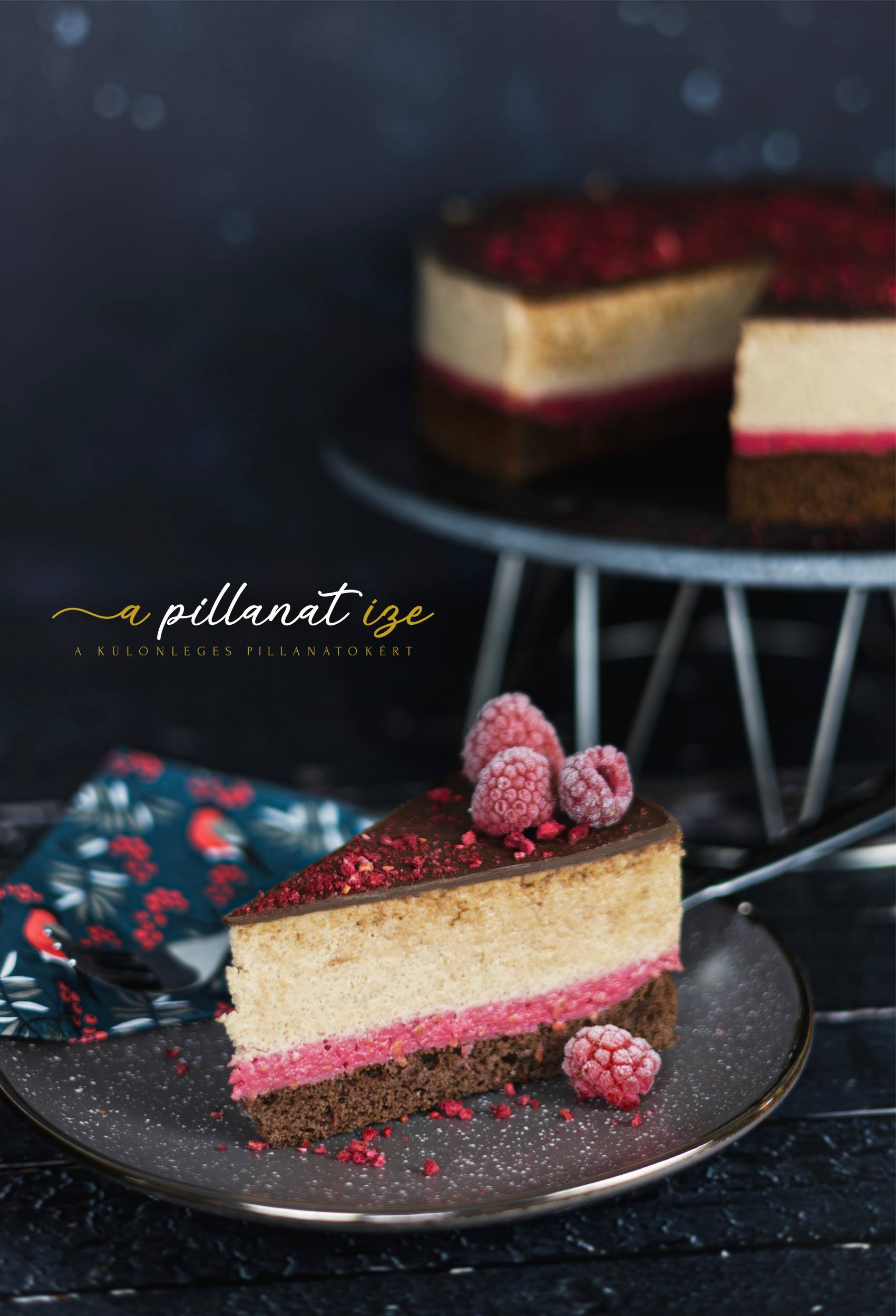 Csokoládés Tejbegríz torta recept málnával