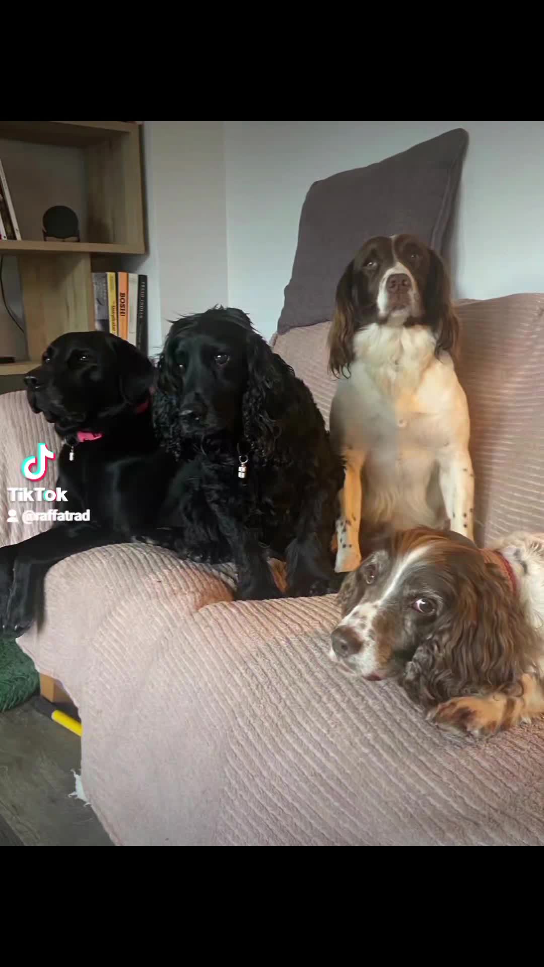 Arundel 5XL on Caithness slate hearth with split face slate to rear and English Oak mantle 