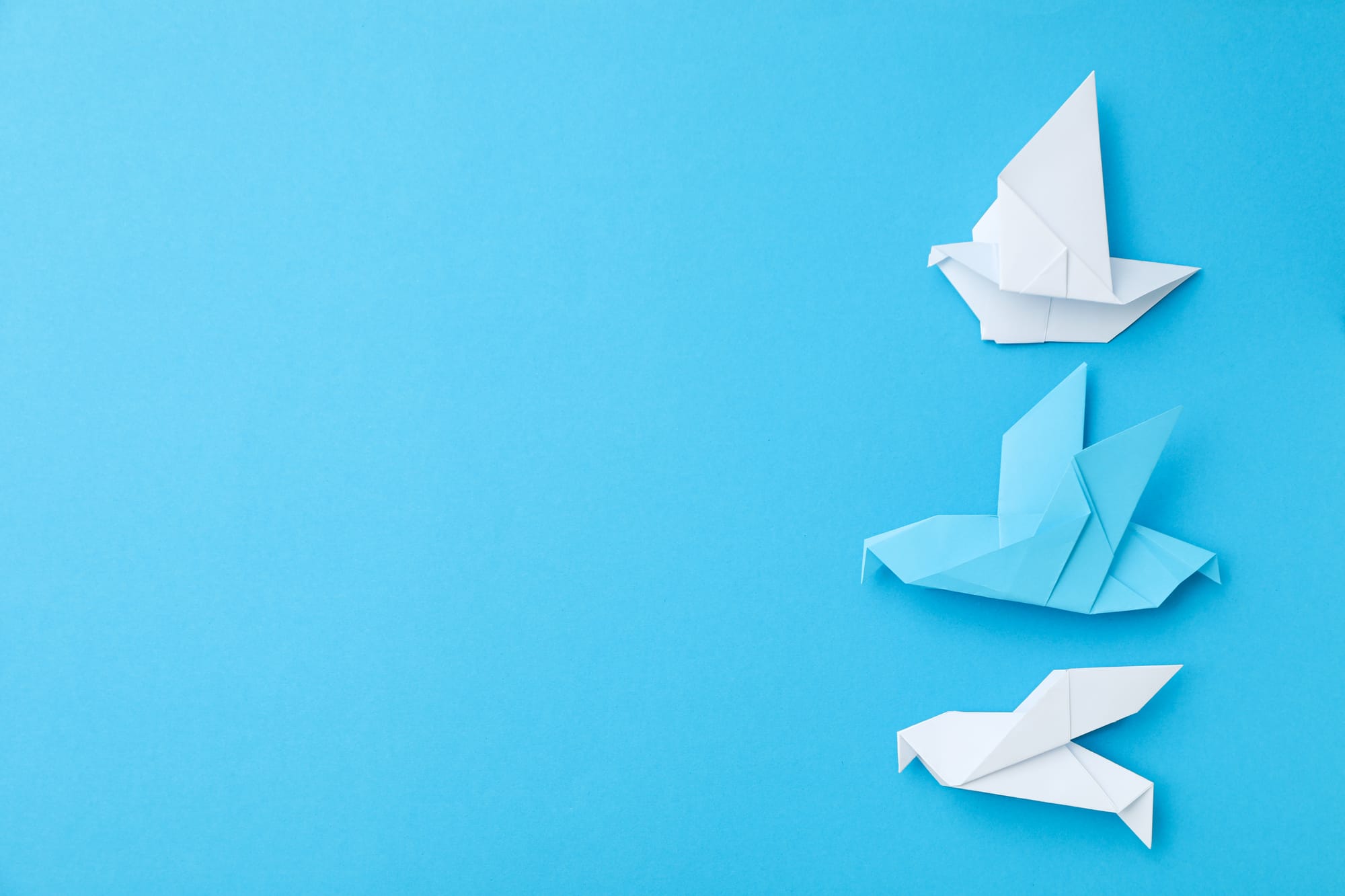 Michael Van Eaton – Respected Education Authority