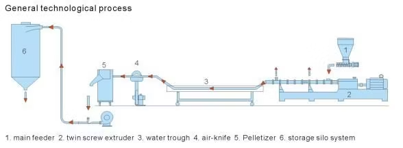 Customized Twin Screw Extruder for Masterbatch Compounding and Mixing