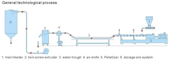 Customized Twin Screw Extruder for Masterbatch Compounding and Mixing