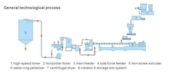 Customized Twin Screw Extruder for Masterbatch Compounding and Mixing