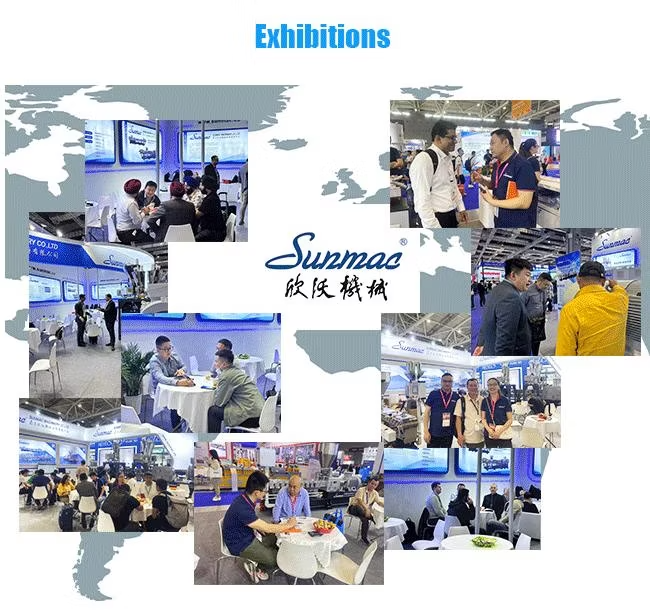 Customized Twin Screw Extruder for Masterbatch Compounding and Mixing
