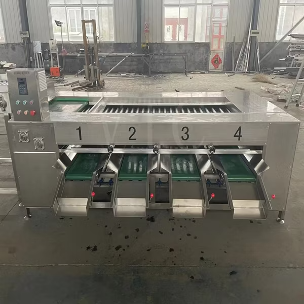 Advanced Food Processing Machine for Efficient Vegetable and Fruit Sorting