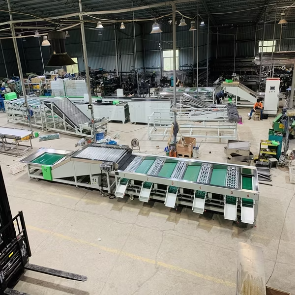 Advanced Food Processing Machine for Efficient Vegetable and Fruit Sorting