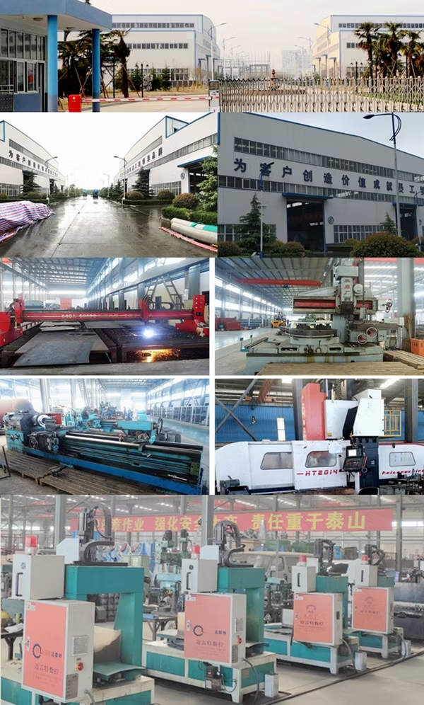 Advanced Food Processing Machine for Efficient Vegetable and Fruit Sorting