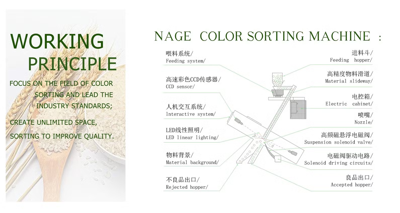 Mini Intelligent CCD Cashew Nut Color Sorter Multi Function RGB Color Sorting Machine