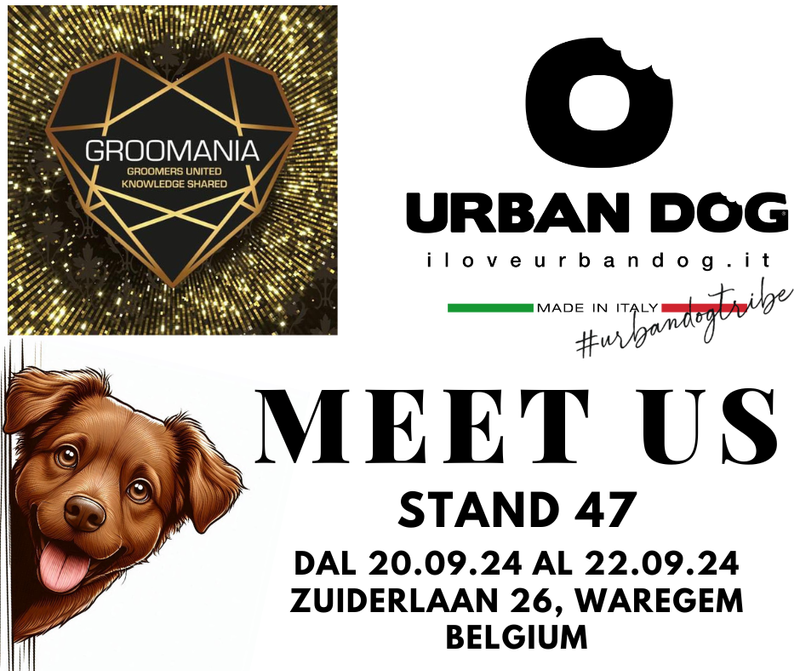 GROOMANIA 2024