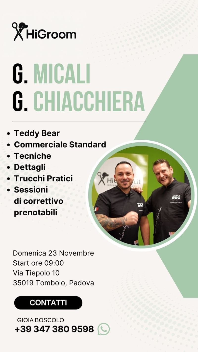Masterclass con G. Micali e G. Chiacchiera