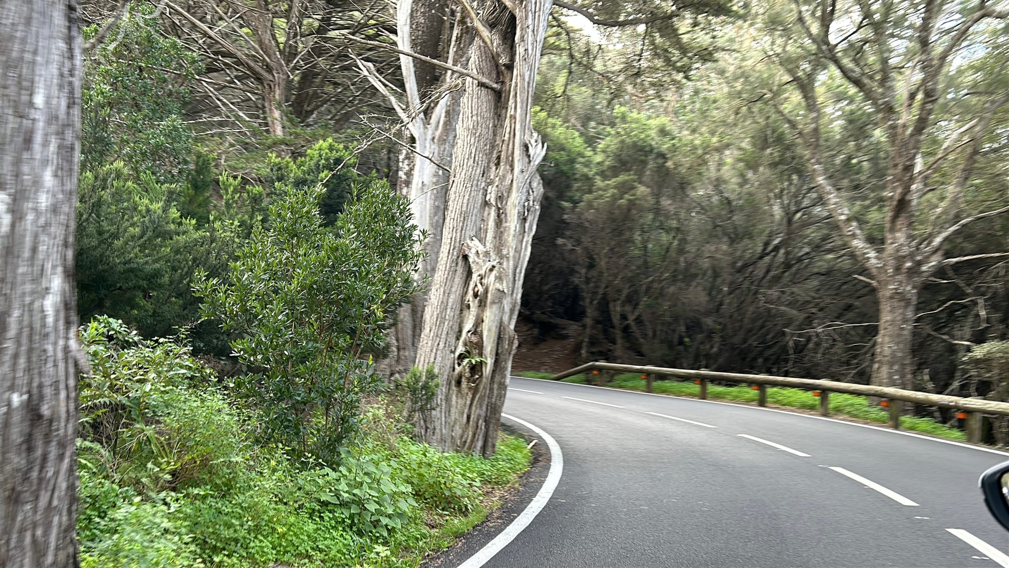 "Tenerife oltre la formazione: un viaggio tra natura, cultura e tradizioni locali"