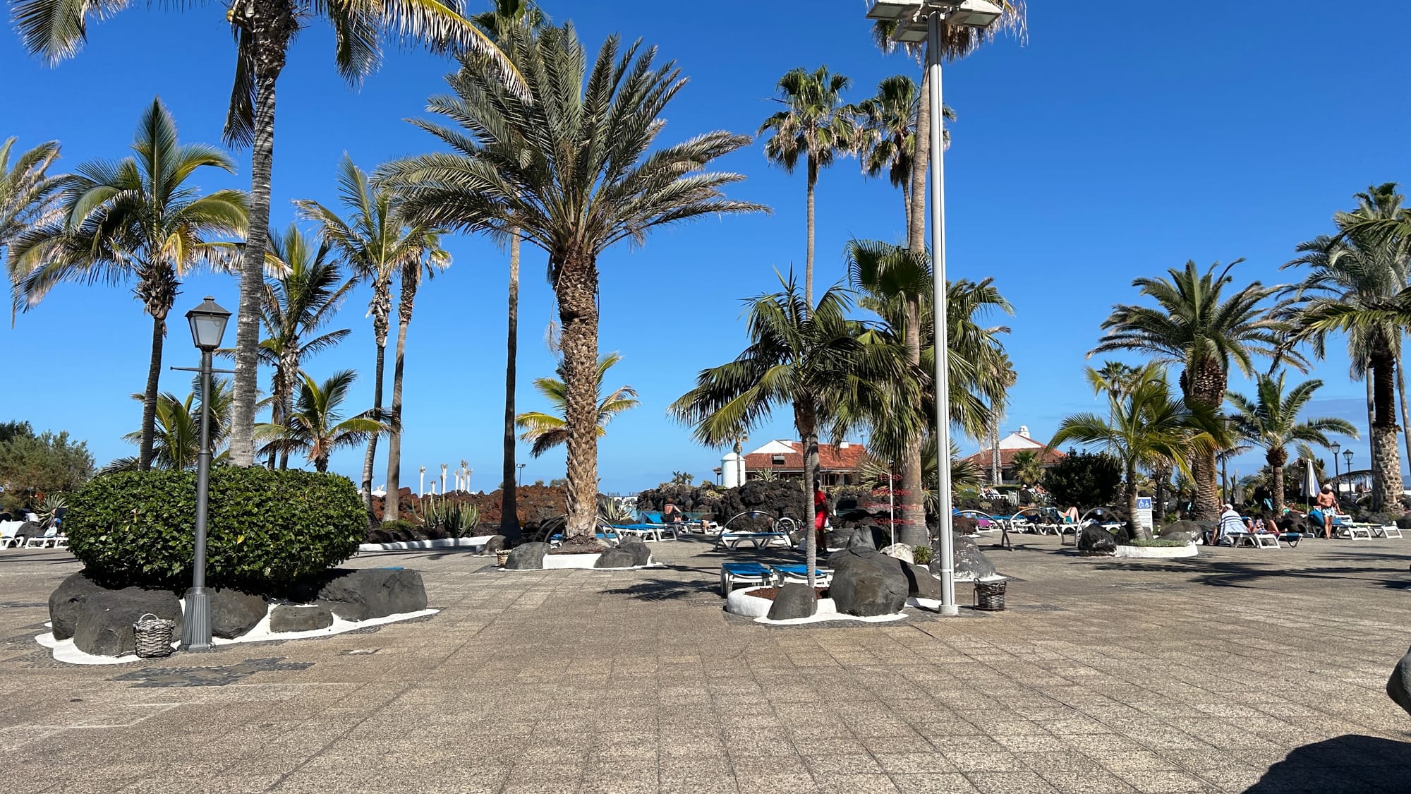 "Tenerife oltre la formazione: un viaggio tra natura, cultura e tradizioni locali"