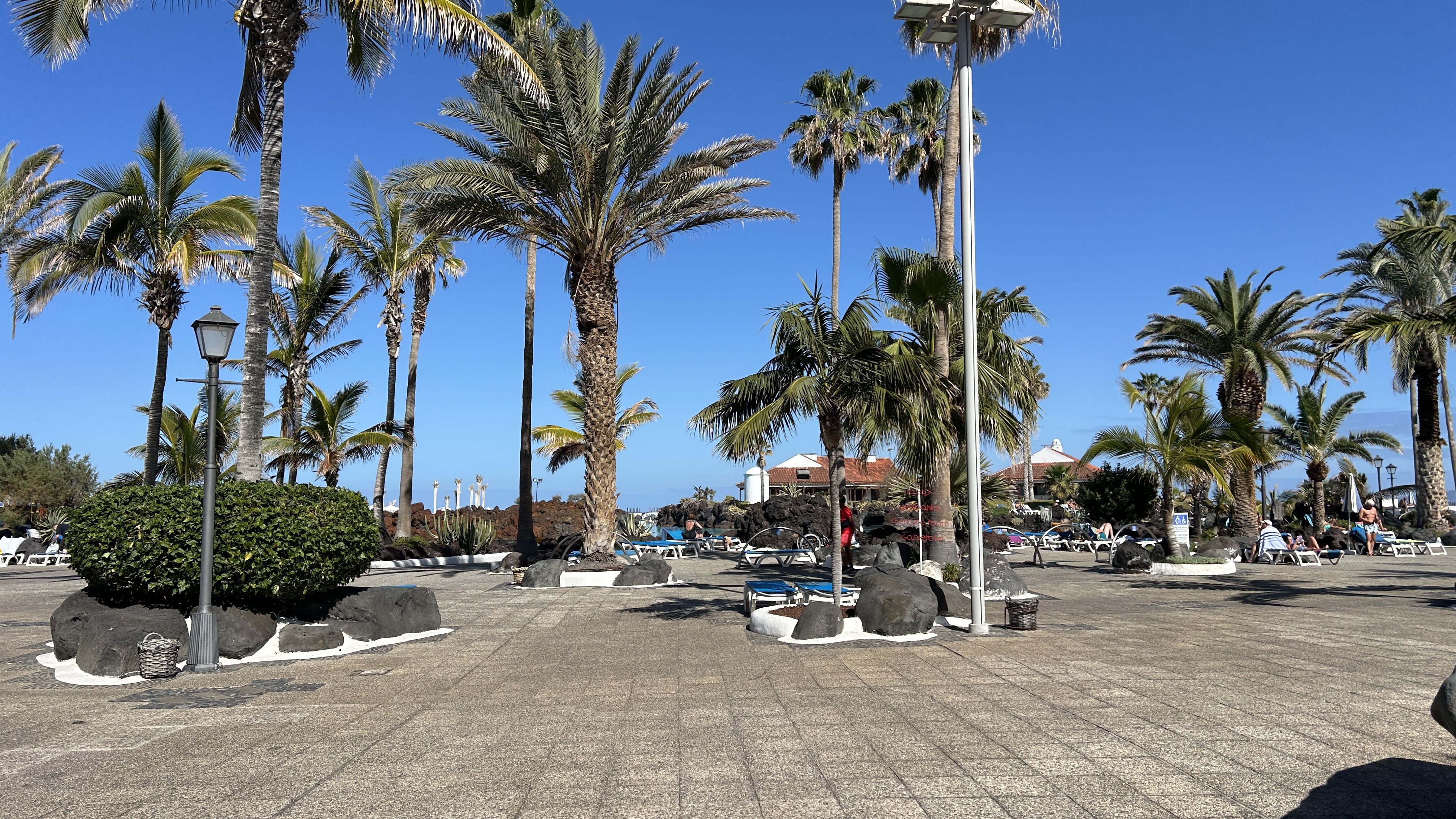 "Tenerife beyond training: a journey through nature, culture and local traditions"