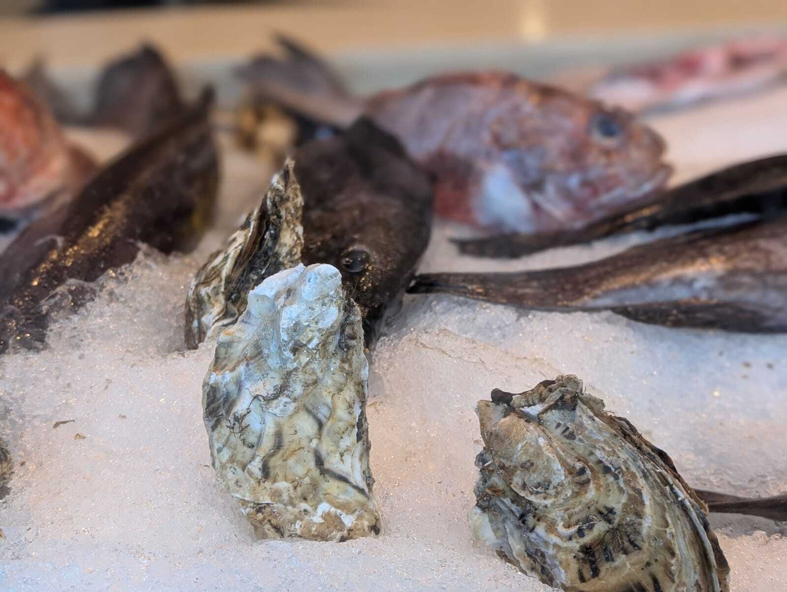 "Tenerife beyond training: a journey through nature, culture and local traditions"