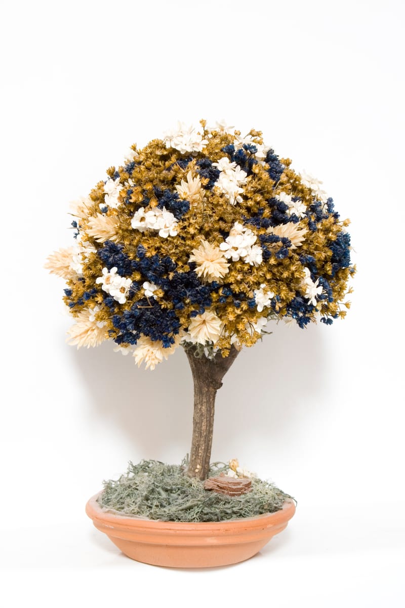 Szárított virágokból készült gömbfa(topiary) workshop felnőtteknek és gyerekeknek