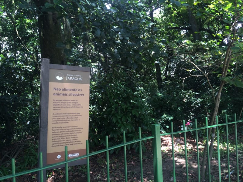 Parque estadual Pico do Jaraguá em São Paulo
