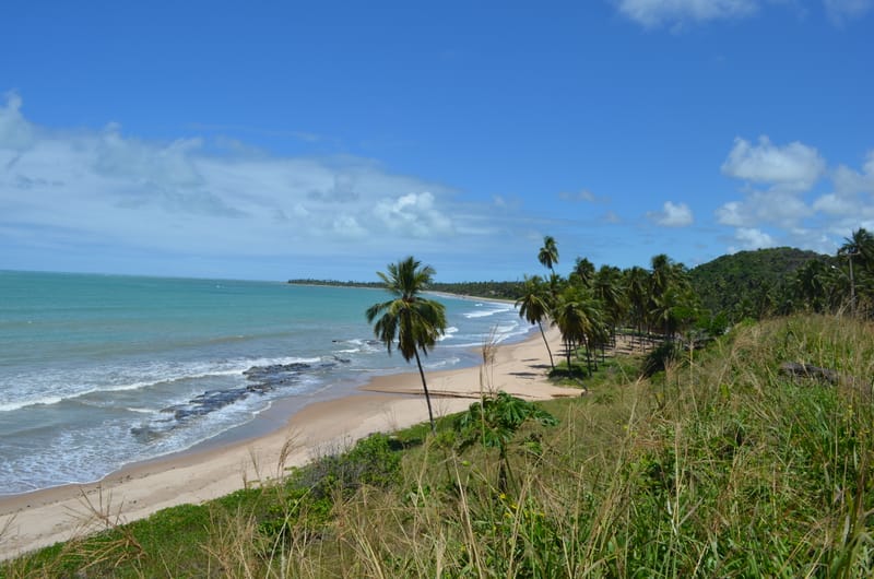 Toyota - APA Costa dos Corais em Alagoas.
