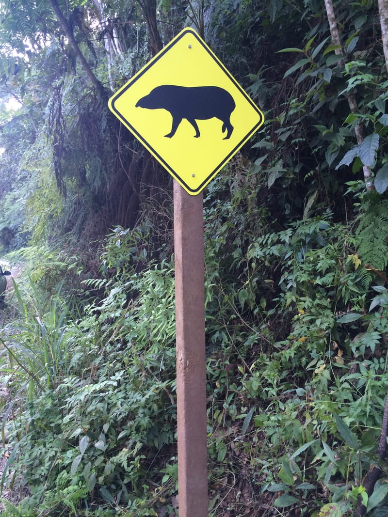 Grupo Votorantim - Reserva Ambiental Legado das Águas em Tapiraí