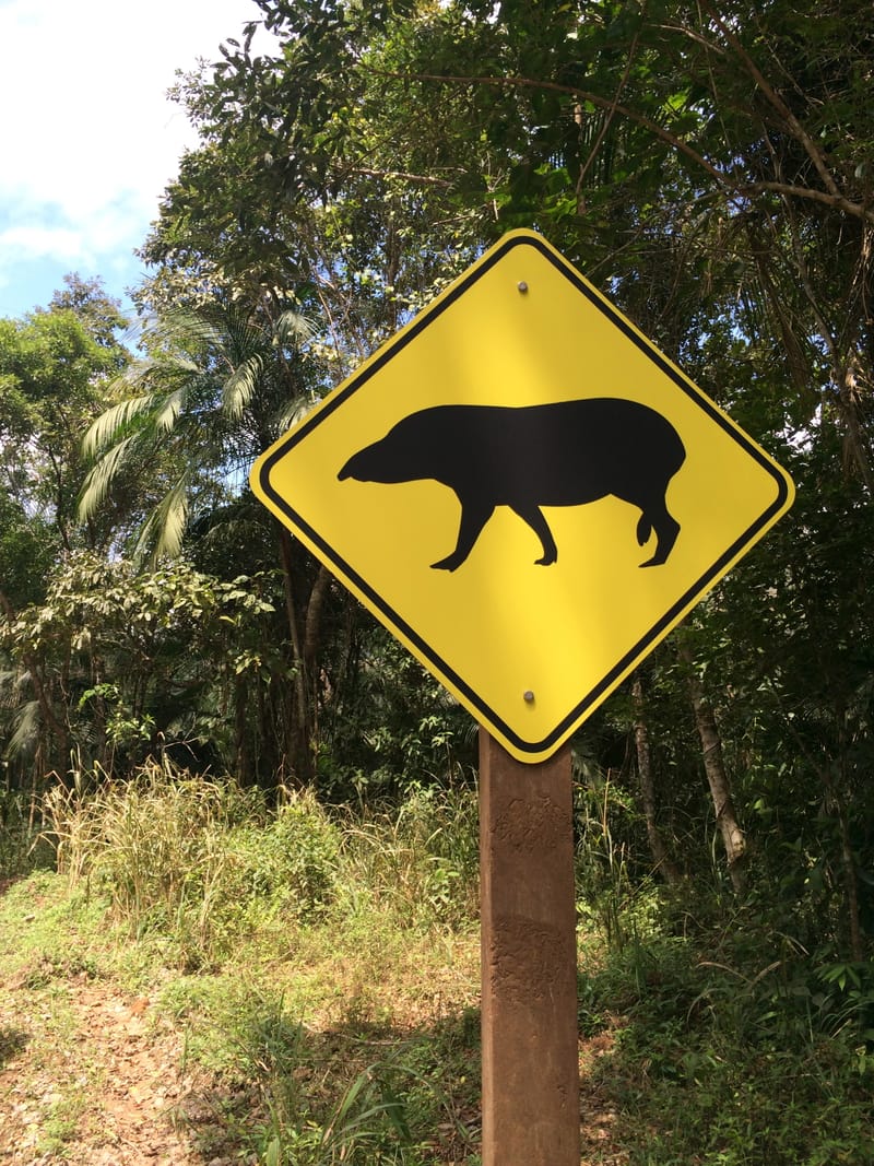 Grupo Votorantim - Reserva Ambiental Legado das Águas em Tapiraí