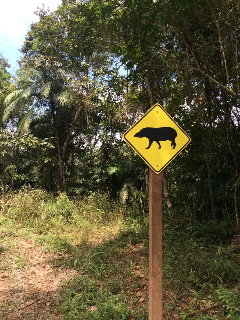 Grupo Votorantim - Reserva Ambiental Legado das Águas em Tapiraí