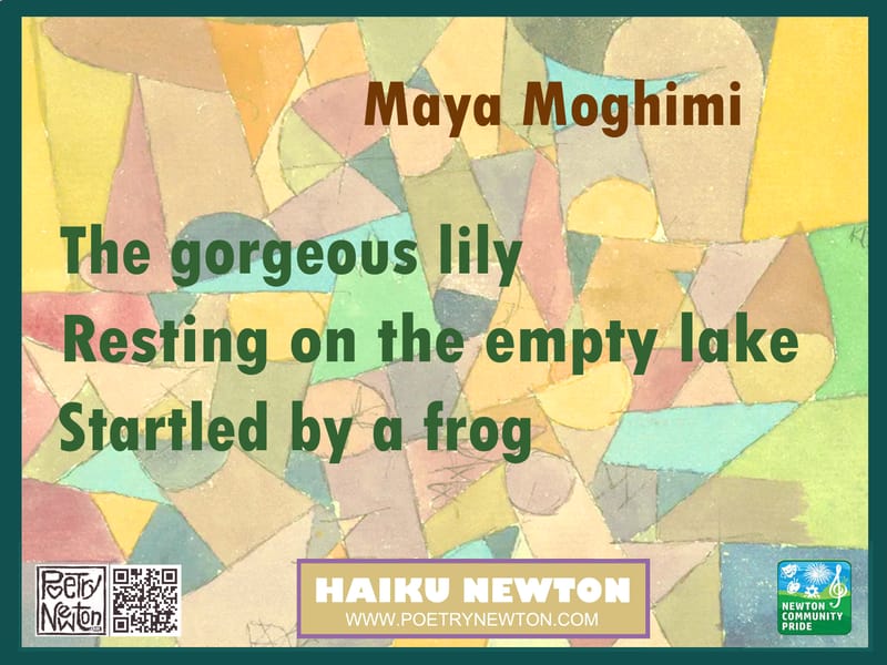 BY MAYA MOGHIMI
