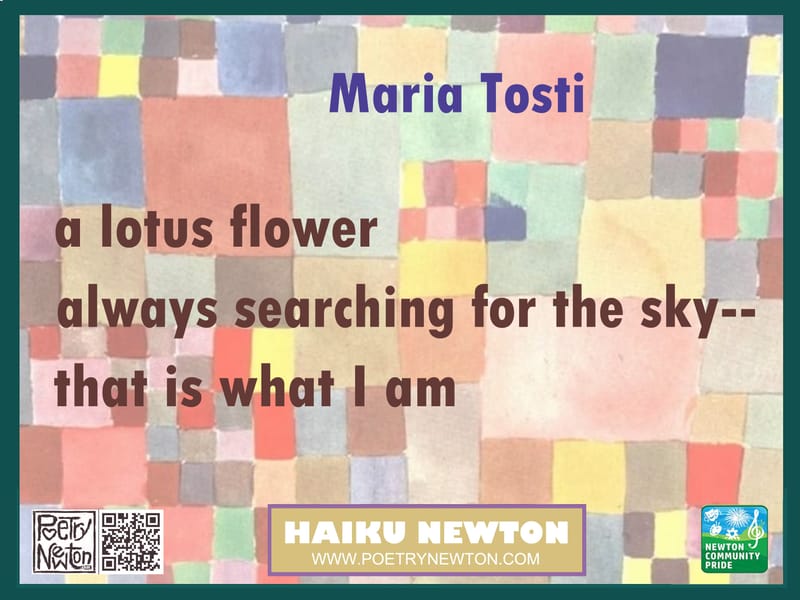 BY MARIA TOSTI