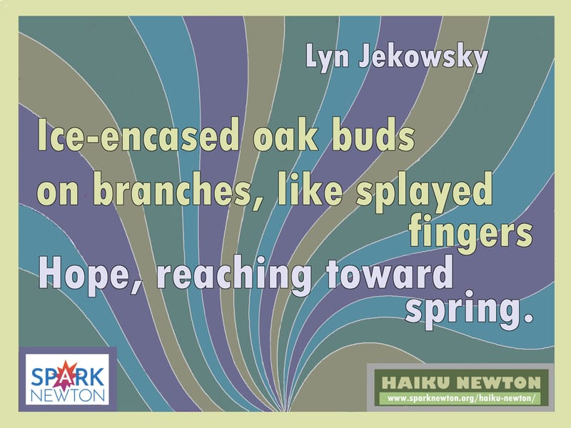 BY LYN JEKOWSKY