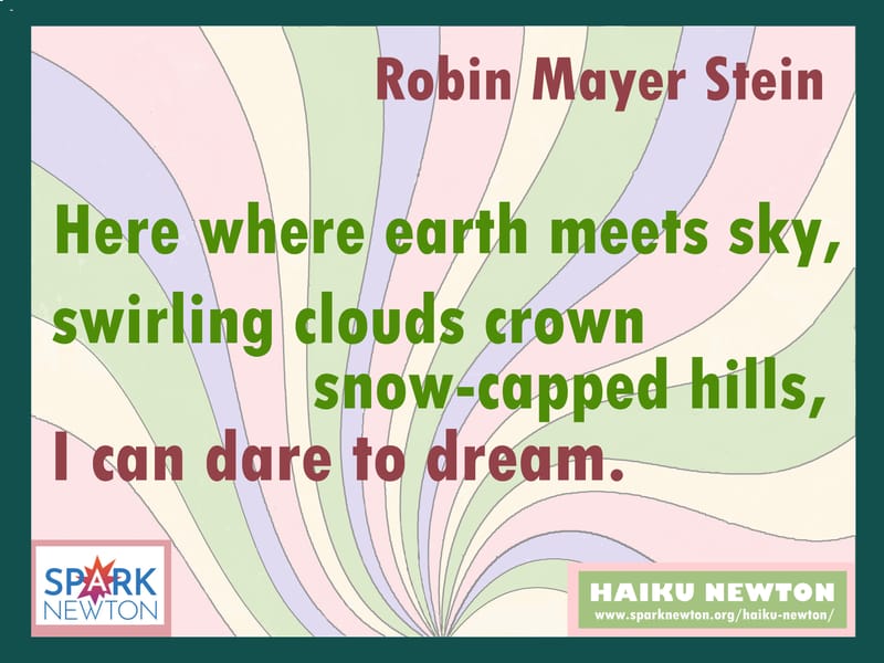 BY ROBIN MAYER STEIN
