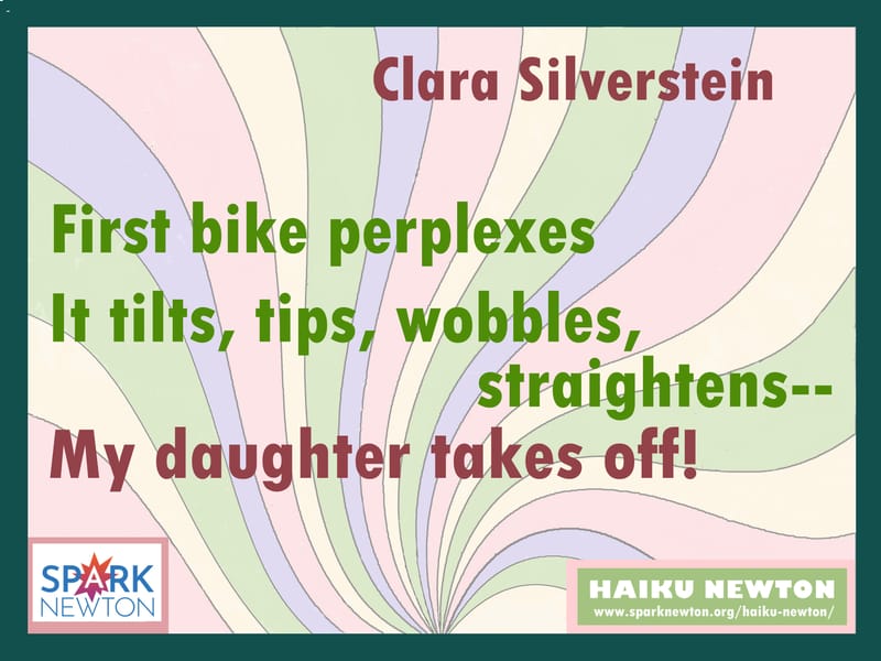 BY CLARA SILVERSTEIN