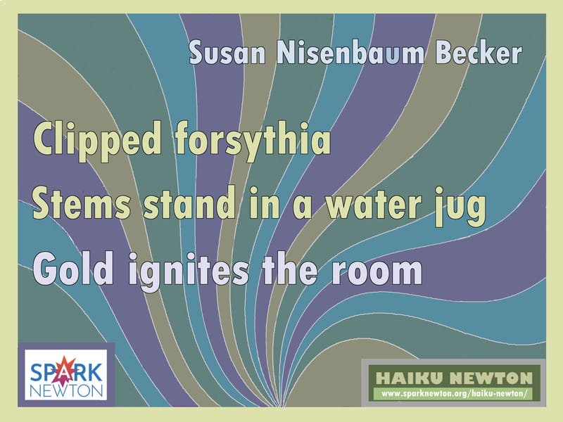 BY SUSAN NISENBAUM BECKER