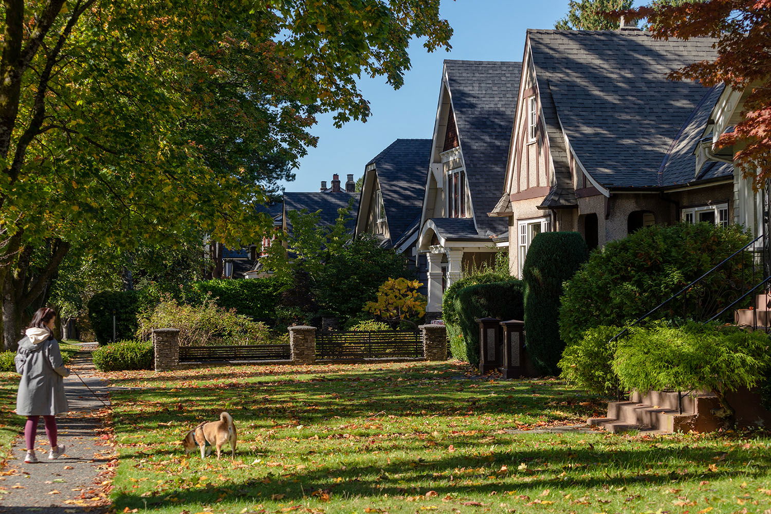 Dunbar Neighbourhood Guide - A Timeless, Tree Lined Community on the Vancouver Westside
