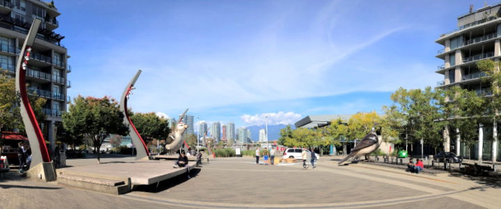 Dog Boarding & Daycare for Olympic Village Families in Vancouver