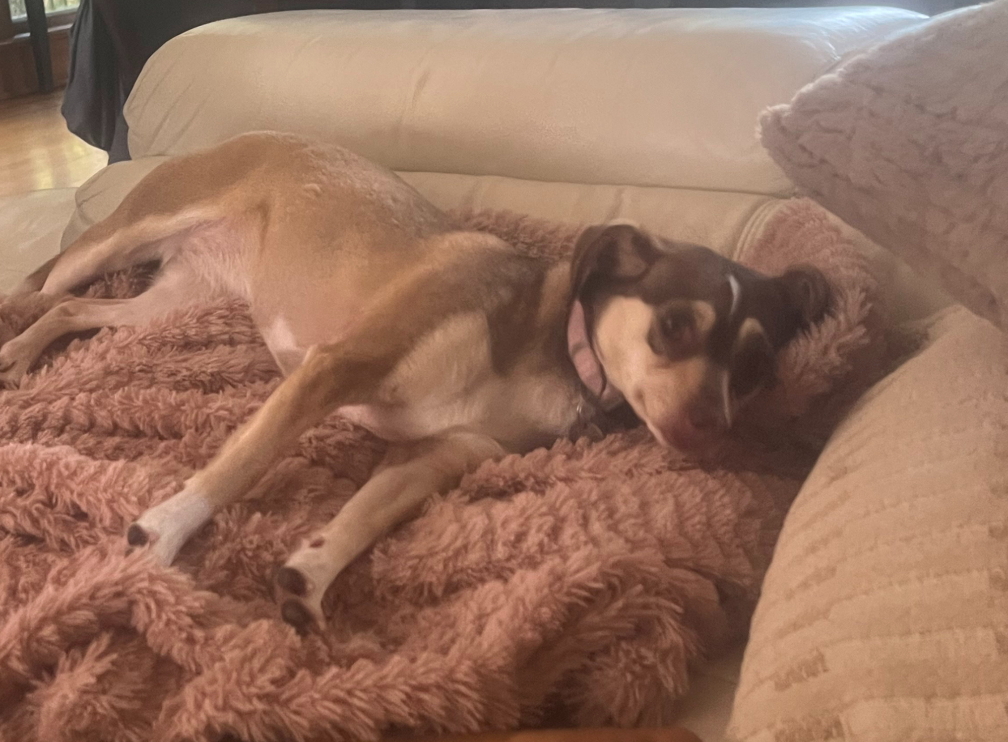 The Extended Residency - Why "A Select Few" is the Ultimate Luxury