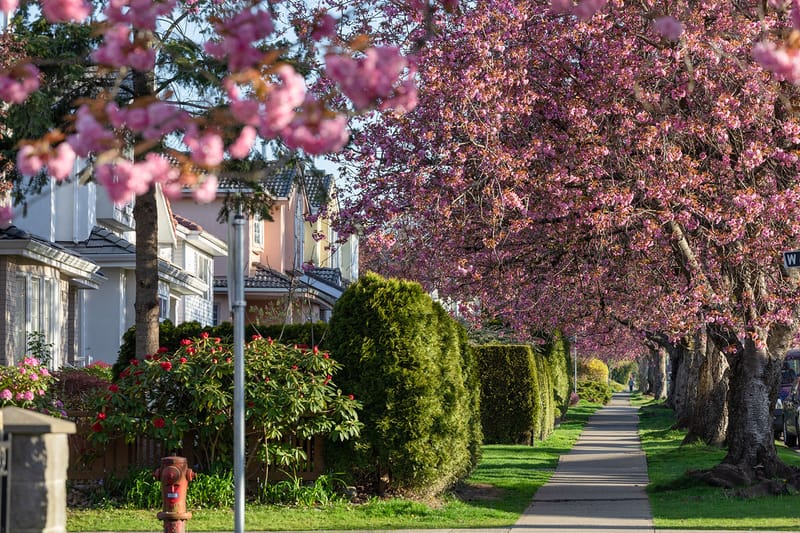 Marpole Neighbourhood Guide - A Warm, Connected Community on Vancouver’s South Westside