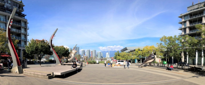 Dog Boarding & Daycare for Olympic Village Families in Vancouver