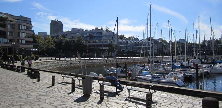 Daycare & Boarding for South Granville and Fairview Dogs