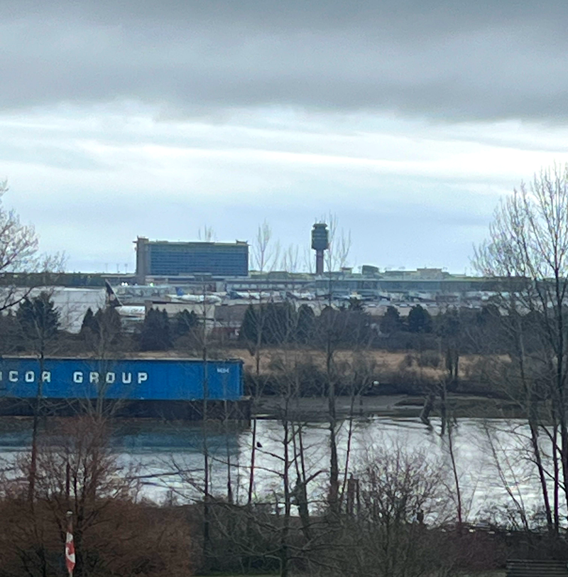 The YVR Traveler’s Secret - Why Kerrisdale Is the Ultimate Pre‑Flight Dog Drop Off