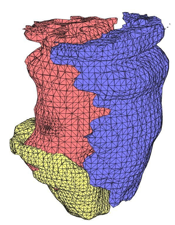 Heart 3D Reconstruction