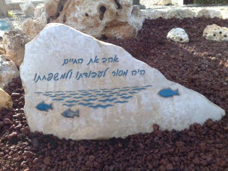 מצבה מסלעים מתוך קטלוג מצבות סלעים - תמונה מספר 4063