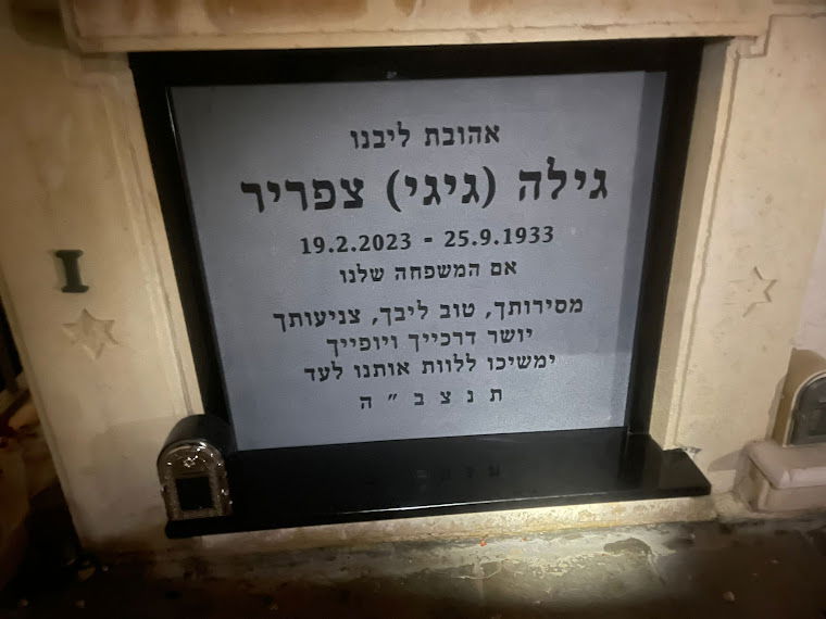 מצבה קיר בגרניט אפור - 894
