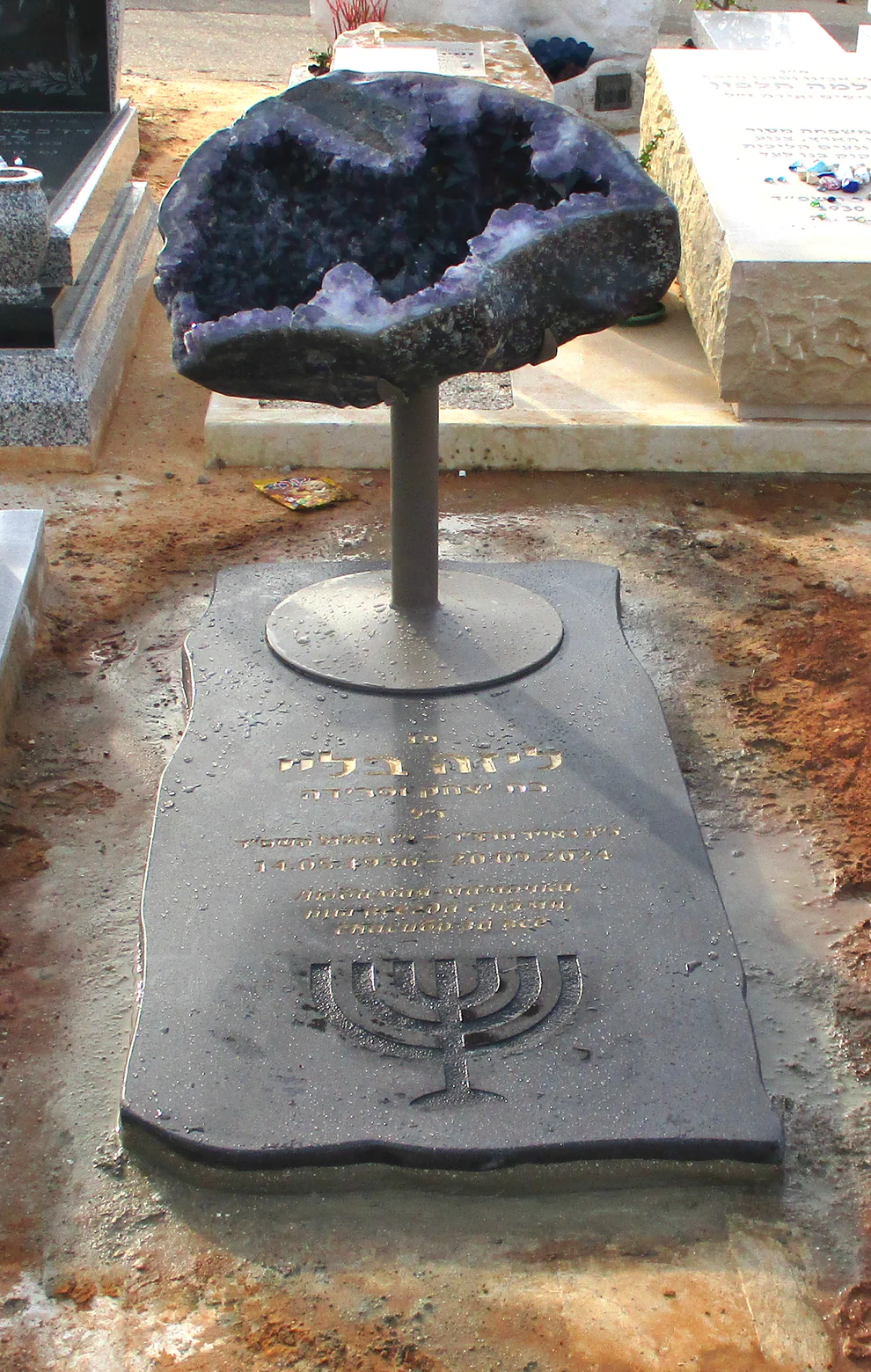 מצבה מיוחדת #113