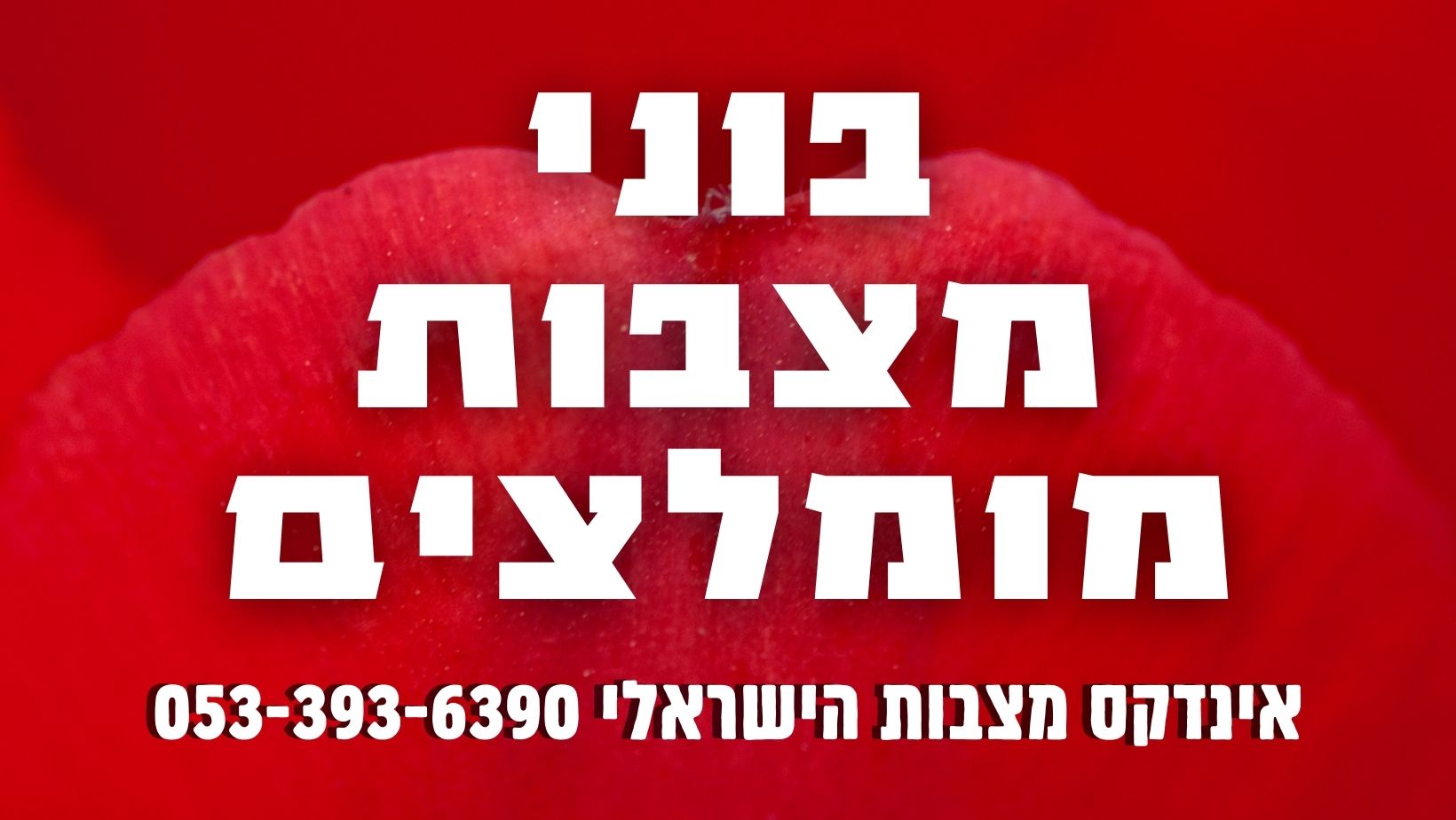 בוני מצבות מומלצים בכל הארץ