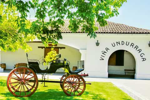 Tour compartido Viña Undurraga $45000 clp por persona