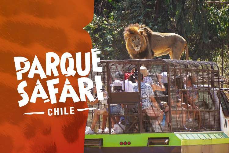 tour compartido Parque safari $70000 clp por persona